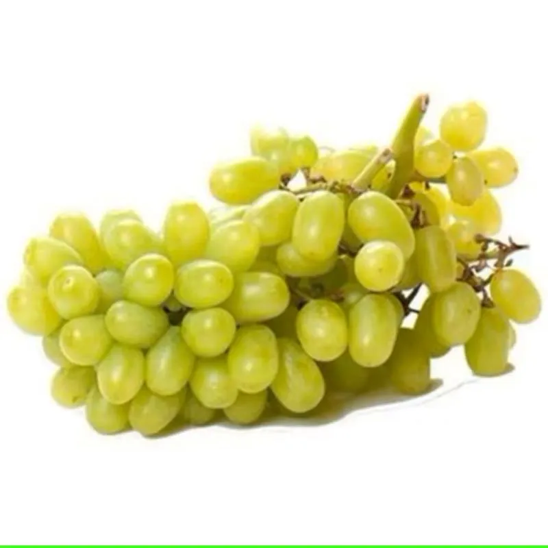 UVA VERDE SEM SEMENTE