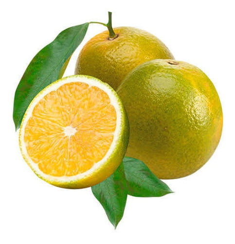 LARANJA PERA GRANDE